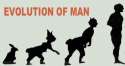 rabbit_evolution.jpg