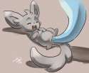 Minccino7.jpg