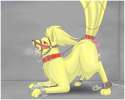 Ninetales21.jpg