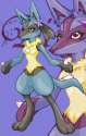 A_Lucario005.png