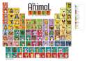 animals.jpg
