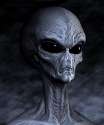 Large_Gray_Alien_small.jpg