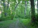 DSCF2033.jpg