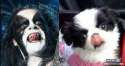 abbath-dog.jpg