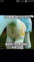 FB_IMG_1454654339244.jpg