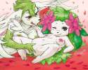 Shaymin15.jpg
