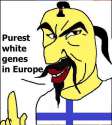 homeland.jpg