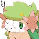 Shaymin25.png