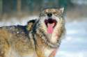 iStock_000008707473XSmall_20151216_184322.jpg