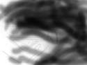 ss (2016-04-16 at 02.04.33).jpg