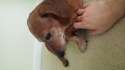 20160416_141154.jpg