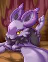 Noibat3.jpg