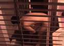 VoyeurDressingRoom-79.jpg