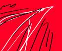 pinis.png