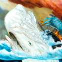 romano-Leviathan-1.jpg