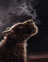 145_1398960264.kenket_breath.jpg