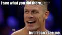 Cena What You Did There.jpg
