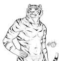 1380579925.trunorth_fred_tiger.png