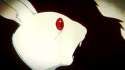 5436.gif