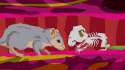 south-park-s06e14c05-gerbil-science-16x9.jpg