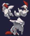 Zangoose66.jpg