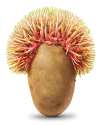 Potato-Afro-5-final.jpg