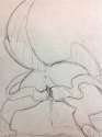 Sylveon28e.jpg