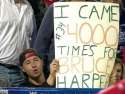 Bruce-Harper-fan.jpg