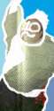 farley1.jpg