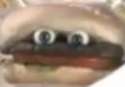 concerned looking boiga.png