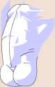 meme penis.png