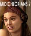 padme.jpg