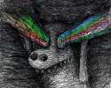 1443653180105.gif