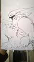 WP_20160418_17_10_01_Pro.jpg