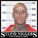 nigger white stupid.jpg