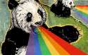 pandadragon2.jpg