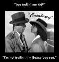 Casaboxxy.jpg