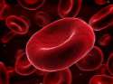 red blood cell.jpg
