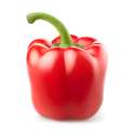 4242334-pepper.jpg