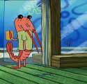 shrimp.jpg