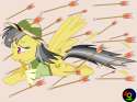 rewq.png