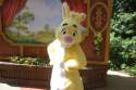 DSC04208.jpg