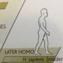 1464233633561.jpg