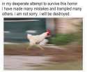 12346486_379954635508141_7631640163340304982_n.jpg