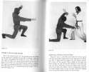 ball-ninja.1327699173643.jpg
