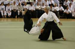aikidesu.jpg
