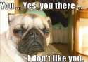 Yes U there, I Don't like U .jpg