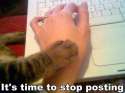 00000000000 BEST EVER Its Time To STOP POSTING 1367377412615.jpg
