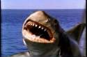 968full-jaws--the-revenge-screenshot.jpg