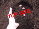 topsoil.jpg